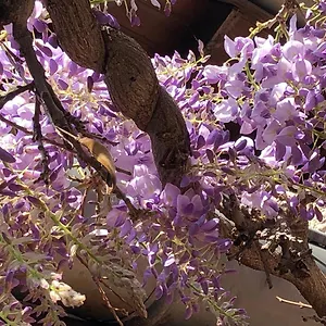 https://le-jardin-de-flicie.hotels-rhonealpes.com